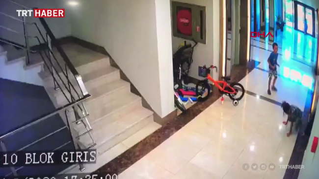 İstanbul'da bir kadın, köpeğini seven komşu çocuğunu dövdü