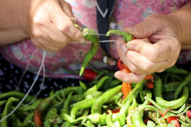 "Dünyanın en tatlı acısı" için mesai başladı