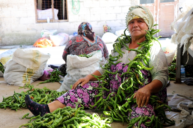 "Dünyanın en tatlı acısı" için mesai başladı
