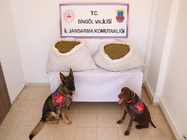 Bingöl'de 2 ton 700 kilo uyuşturucu ele geçirildi