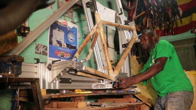 Uganda'nın bambu bisikletleri