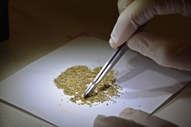 Bitki çaylarında korkutan laboratuvar sonuçları