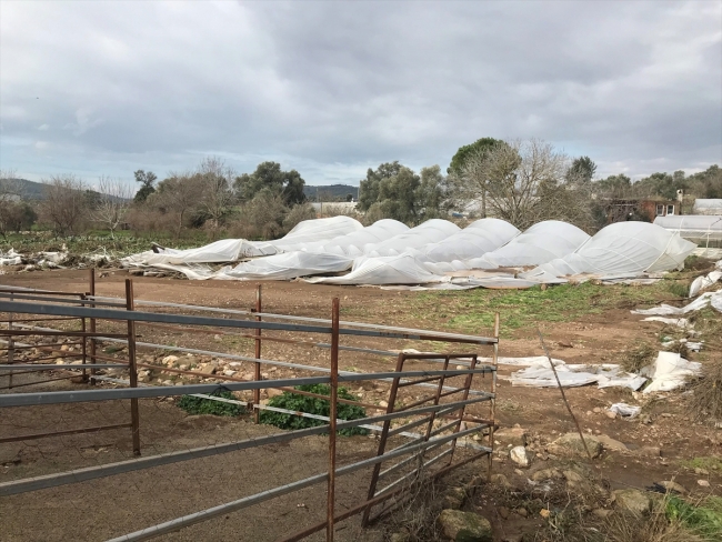 Bodrum'daki selin ardından hasar tespiti yapıldı