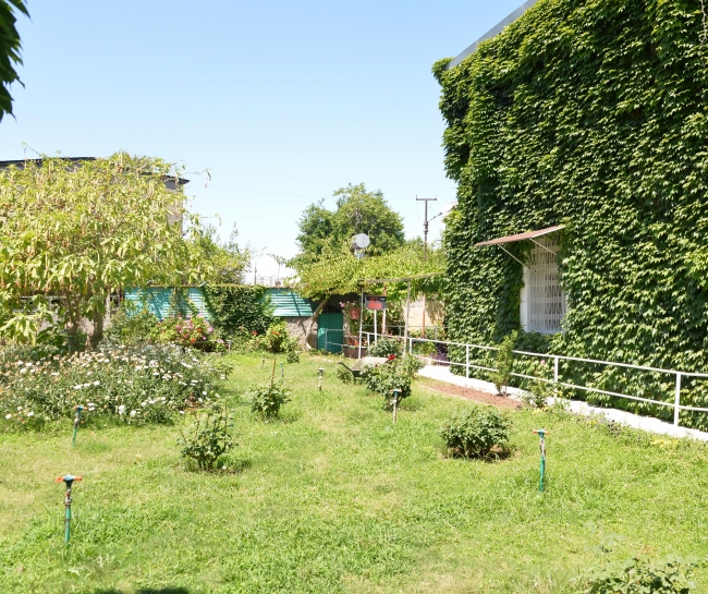 Sarmaşıkların yeşile bürüdüğü yer: Köprüköy Camii