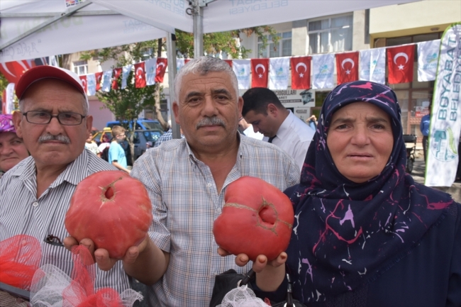 Boyabat'ta "2. Domates Festivali" gerçekleştirildi