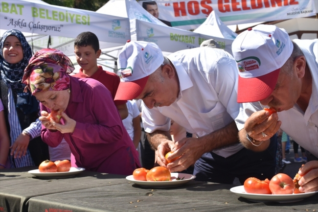 Boyabat'ta "2. Domates Festivali" gerçekleştirildi