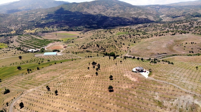 Arazinin ortasındaki ev 360 derece dönüyor