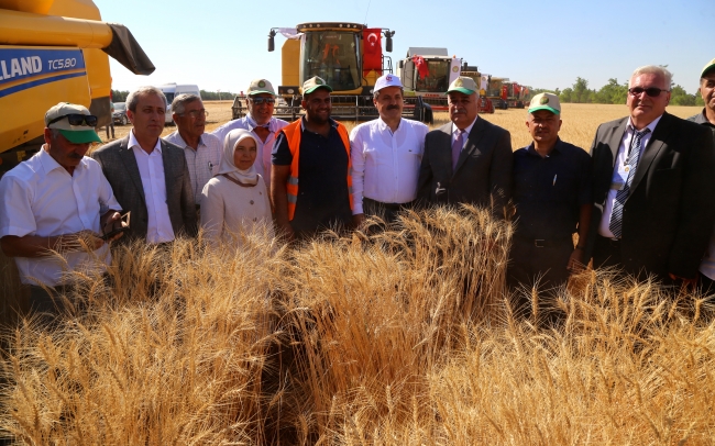 Buğday alım fiyatı açıklandı