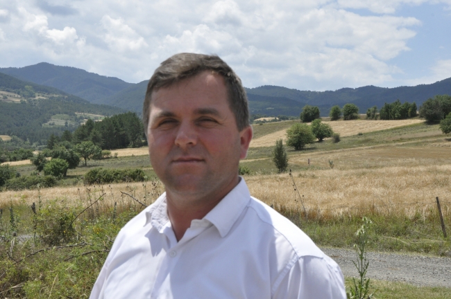 Siyez buğdayını geleneksel yöntemlerle hasat ediyorlar