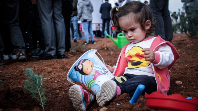 81 ilde 11 milyon fidan toprakla buluştu