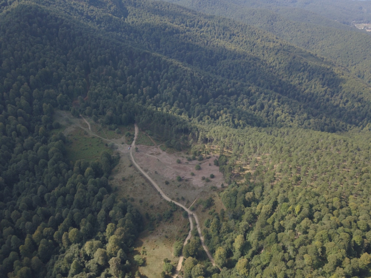 Bursa Başalan Yaylası