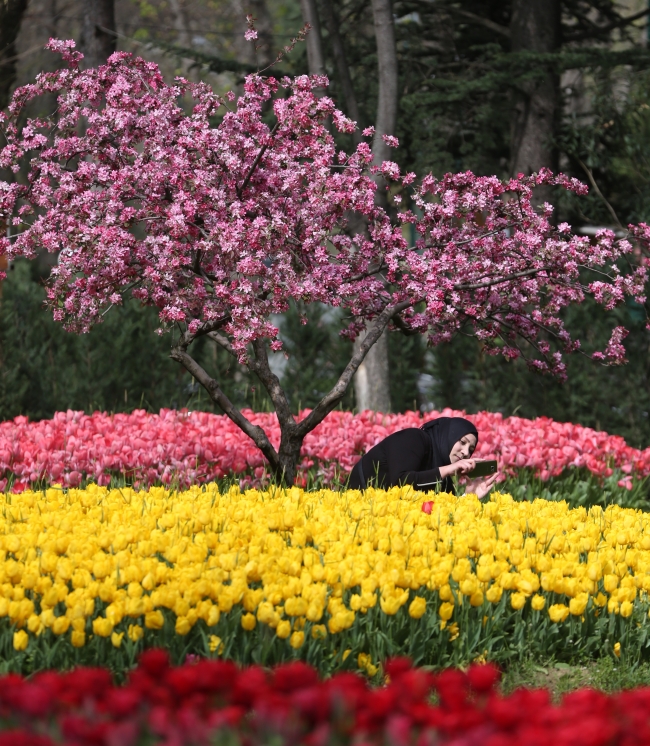 Bursa'da parklara 5 milyon çiçek ekildi