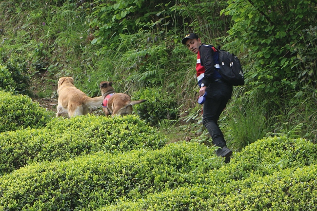 Rize'de kaybolan iki çocuk sağ olarak bulundu