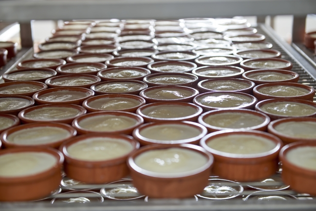 Hassas bağırsak hastalığının çaresi 'ev yapımı yoğurt'