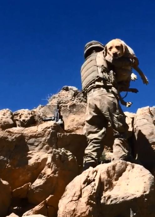 Komandolar teröristlerin "girilemez" dediği inlerine girdi