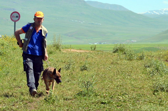 Ağrı’da kaybolan Leyla’yı arama çalışmaları devam ediyor