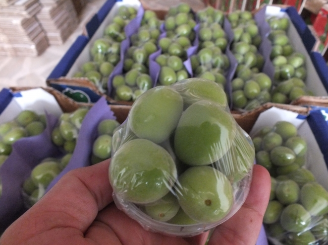 Mevsimin ilk 'çağla'sı 15 lira