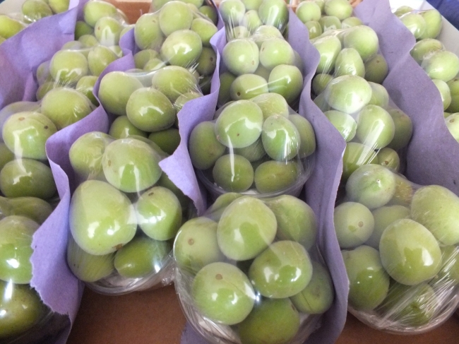 Mevsimin ilk 'çağla'sı 15 lira