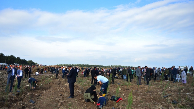 81 ilde 11 milyon fidan toprakla buluştu