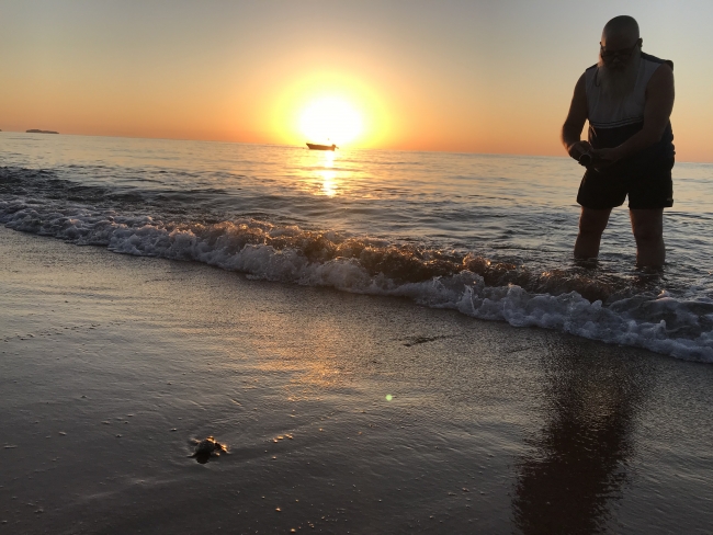 Caretta carettalar denizle buluştu