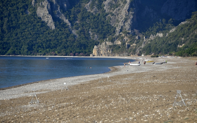 İklim değişikliği caretta carettaları tehdit ediyor