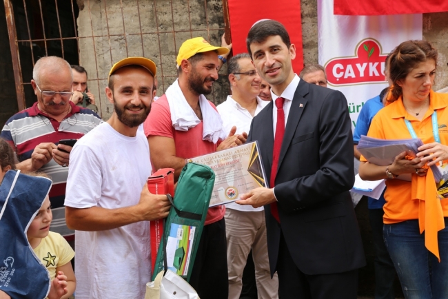 En hızlı çay toplamak için yarıştılar