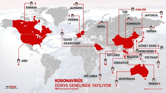 Tayland'da koronavirüs vakası 14'e yükseldi