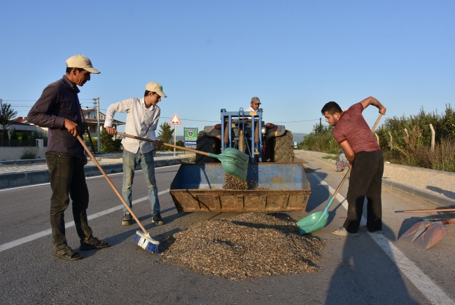Çekirdeği kurutmak için çevre yolunun birer şeridini kapattılar