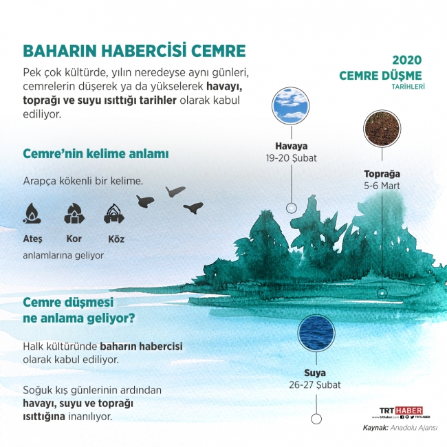 Grafik: Şeyma Özkaynak