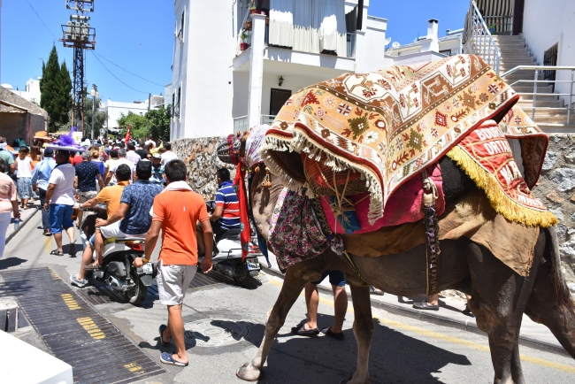 Deve sırtında çeyiz taşıma geleneği 50 yıldır sürdürülüyor