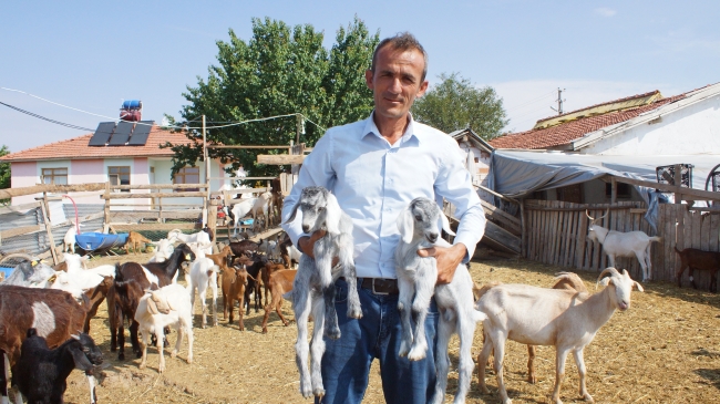 Tır şoförlüğünü bırakıp keçi çiftliği kurdu