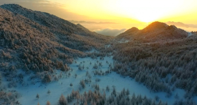 Dünyanın iklimi değişiyor