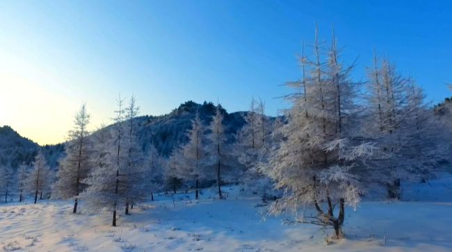 Dünyanın iklimi değişiyor