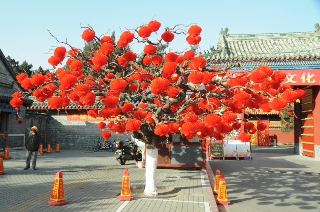 Çin bu gece Köpek Yılı'na girecek