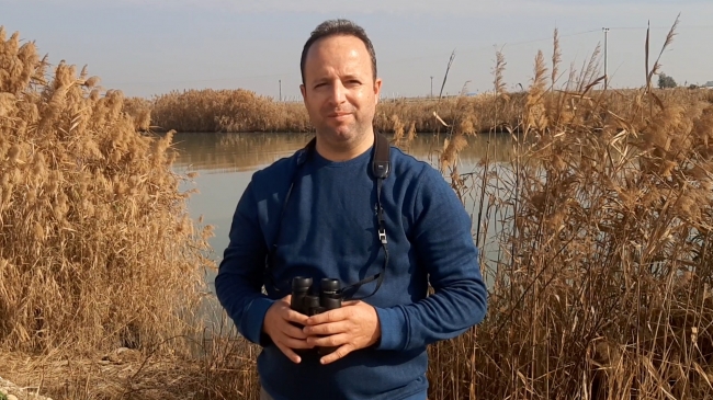 Türkiye'de ilk defa çizgili gerdanlı kırlangıç görüldü