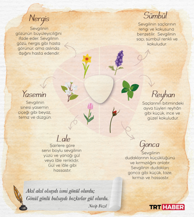 Türk edebiyatında çiçeklerin dili