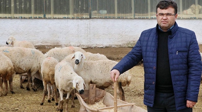 Yerli çoban sıkıntısı Afganlara istihdam sağladı