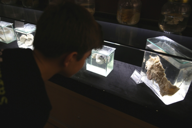 Bursa Sağlık Tarihi Müzesi tıp tarihine ışık tutuyor