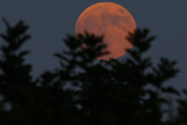 21. yüzyılın en uzun "kanlı ay tutulması"