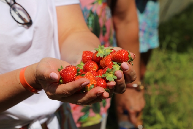 Yemyeşil doğasıyla Antalya'nın saklı cenneti Gazipaşa
