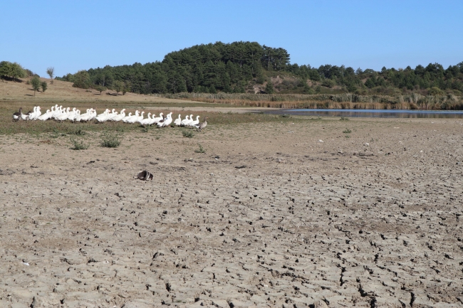 Yayla Gölü'nde su seviyesi düştü