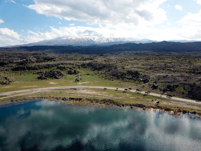 Ağrı Dağı, on binlerce kuş türünü ağırlıyor