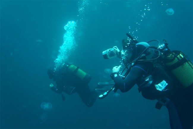 2 bin 400 yapay resif Marmara Adaları’nda denize bırakılacak