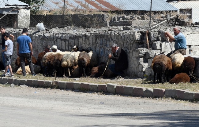 Doğu Anadolu'da kurban pazarlarında hareketlilik