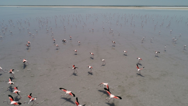 Tuz Gölü pembe renge büründü
