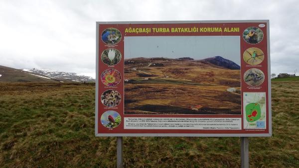 Türkiye'nin en büyük turba bataklığı koruma altına alındı