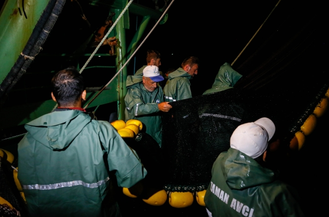 Denizin mevsimlik işçileri