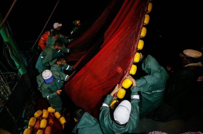 Denizin mevsimlik işçileri