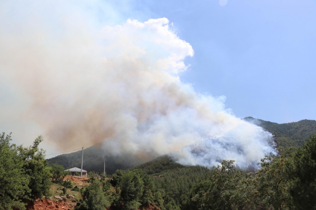 Denizli'de orman yangını