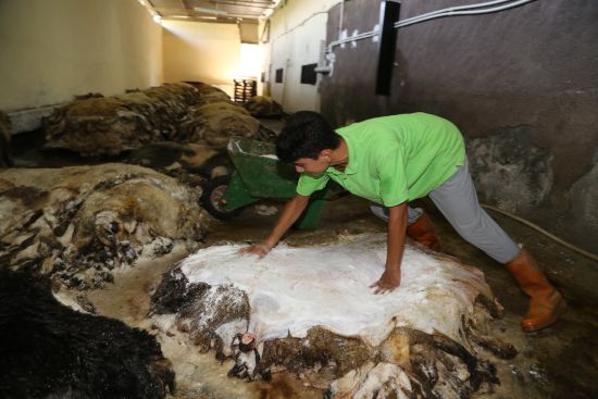 Kurban derileri için "tuzlama" uyarısı